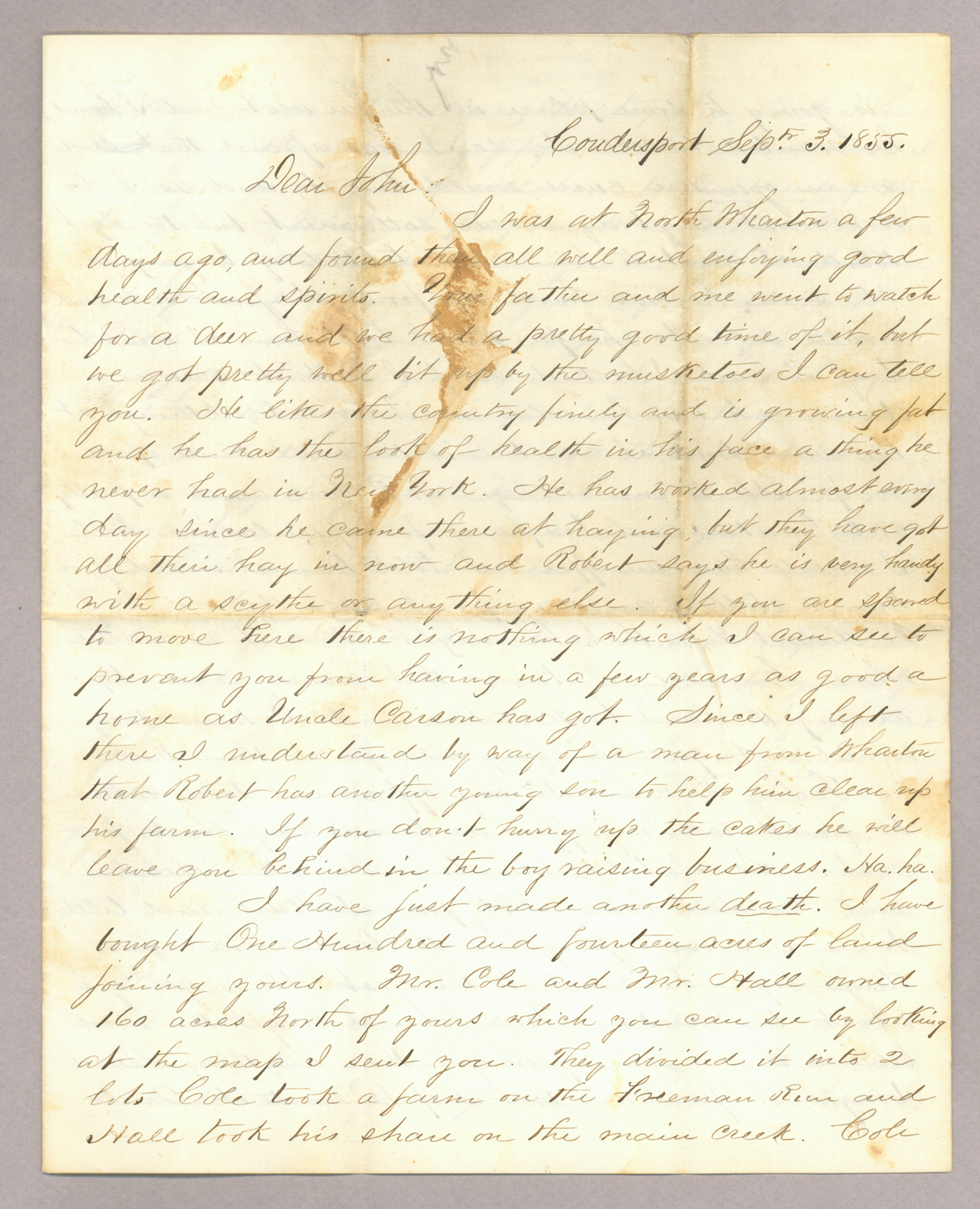 Letter. Hugh Young, Coudersport, Pennsylvania, to Jno Brownlee Esq., New York, New York, Page 1