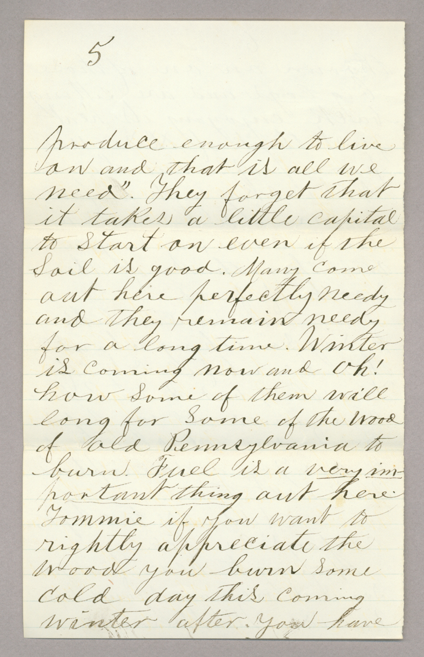 Letter. W. L. Holland, Sutton, Clay County, Nebraska, to Mr. Thomas [E.] Brownlee, North Wharton, Pennsylvania, Page 5