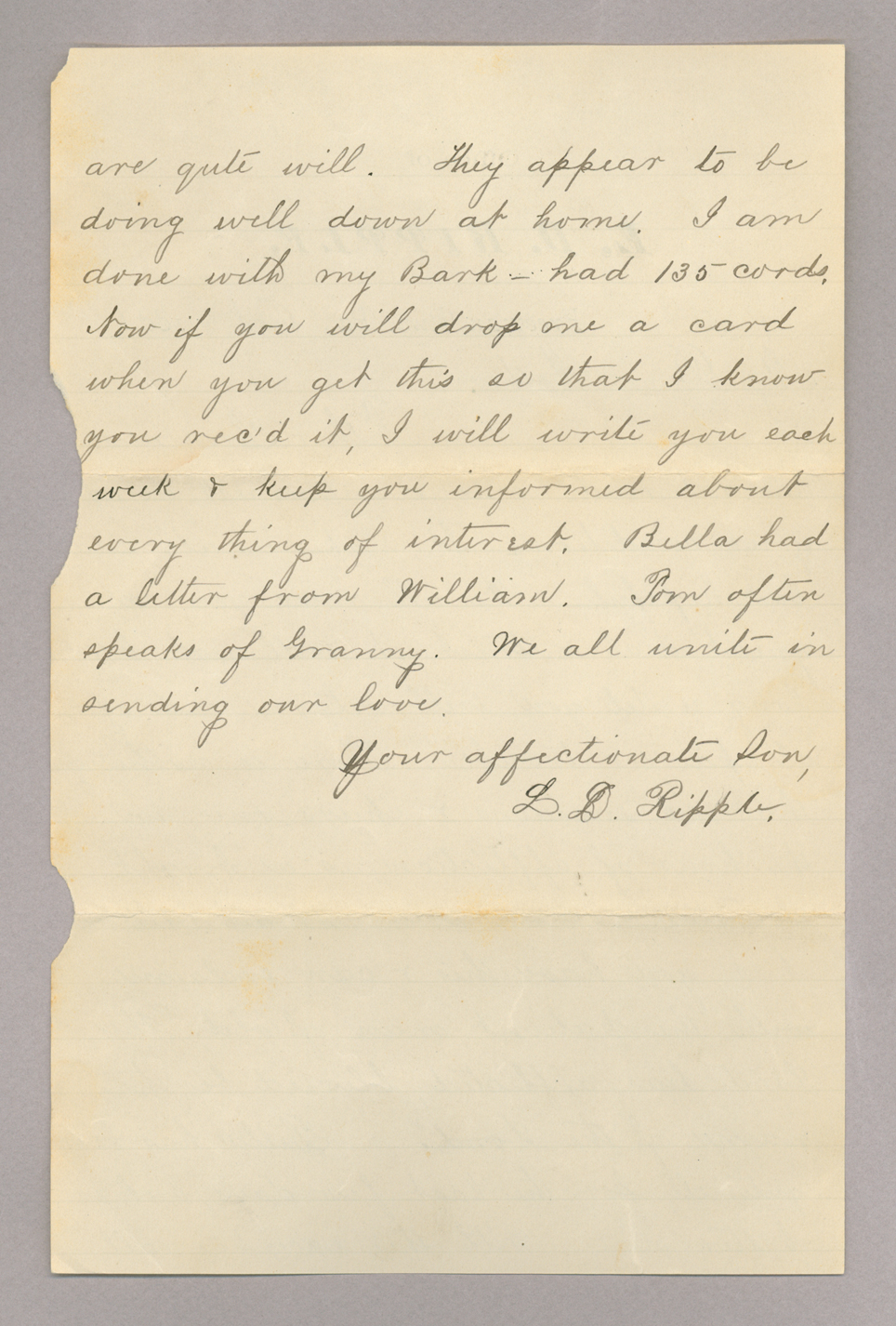Letter. L[orenzo] D. Ripple, Freeman Run, Pennsylvania, to Mrs. Elizabeth [Savage] Brownlee, Rome, New York, Page 2