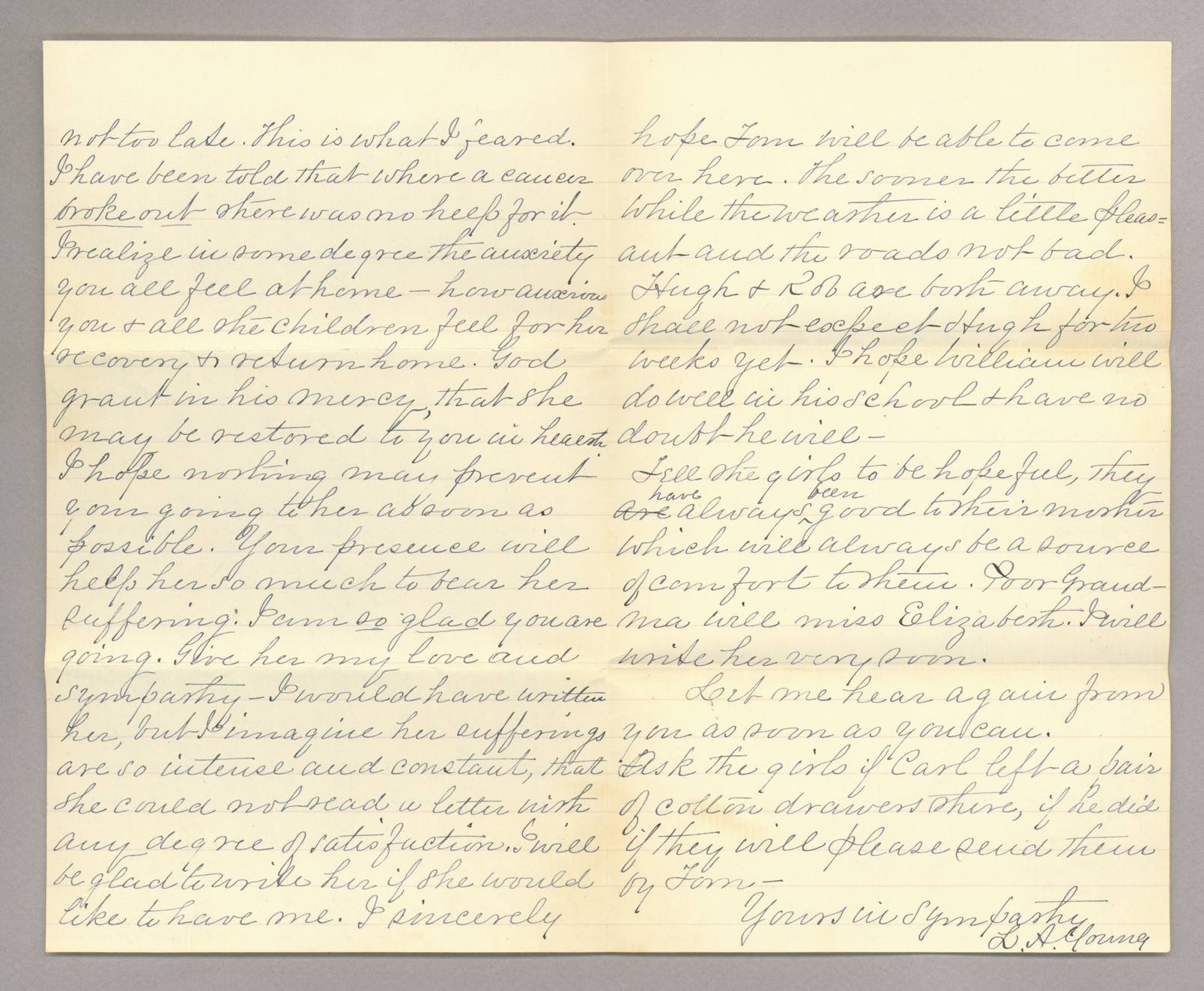 Letter. L. A. Young, Wellsboro, Pennsylvania, to Mr. John [E.] Brownlee, North Wharton, Pennsylvania, Pages 2-3