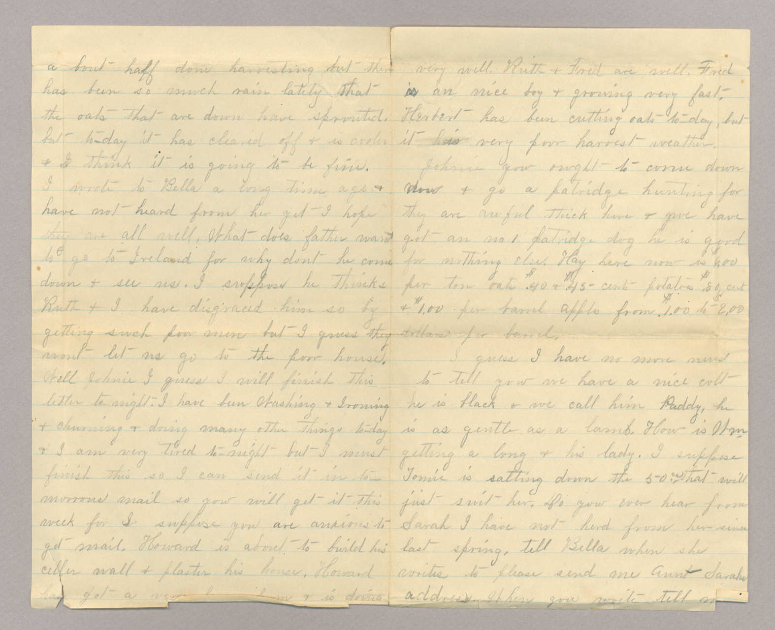 Letter. "[Y]our ever true Sister Jane" [Jane Brownlee ?], South Newbridge, New Brunswick, to Mr. John E. Brownlee [Jr.], Costello, Pennsylvania, Pages 2-3
