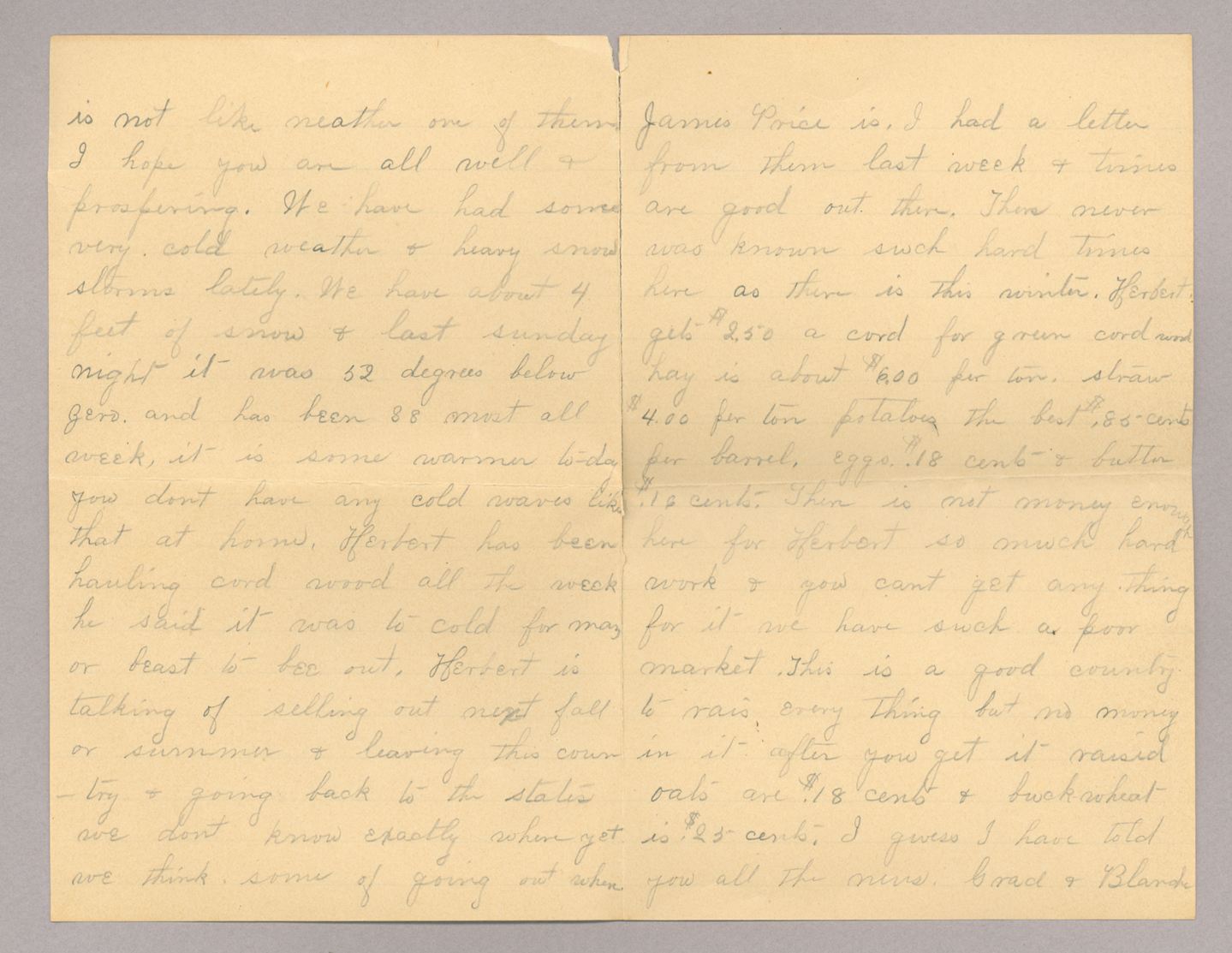Letter. "[Y]our true Sister Jane" [Jane Brownlee ?], South Newbridge, New Brunswick, to Mr. John E. Brownlee [Jr.], Costello, Pennsylvania, Pages 2-3